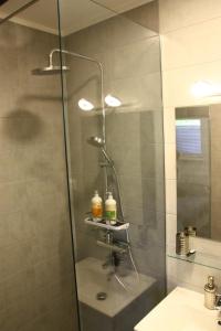 une douche avec une porte en verre à côté d'un lavabo dans l'établissement APARTMENTS 1A RIBNO - BLED, à Bled