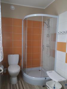 a bathroom with a toilet and a shower at Apartamenty Stajni Jazon Malbork in Malbork +51 photos