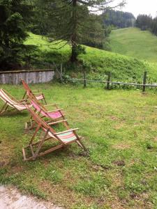 Zahrada ubytování Urige Almhütte Innerkrems