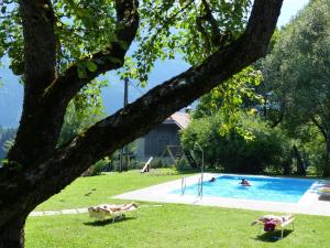 Bazén v ubytování Hotel-Pension Birkenhof nebo v jeho okolí