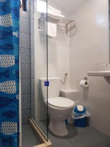 a bathroom with a toilet and a glass shower at Pensiunea Coralia in Murighiol