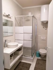 La salle de bains est pourvue d'une douche, d'un lavabo et de toilettes. dans l'établissement Apartman Luna, à Šibenik