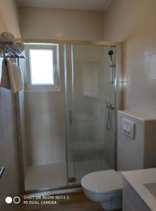 een badkamer met een douche en een toilet bij Apartments Patalic in Lopar