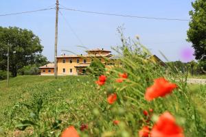 Vonkajšia záhrada v ubytovaní Agriturismo Bacchanalis