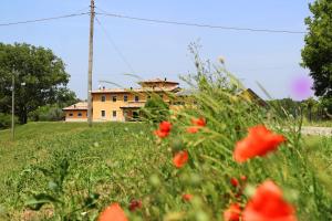 a house in a field with red flowers at Agriturismo Bacchanalis in Ziano Piacentino