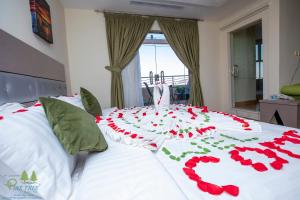 فنادق pinetree suites hail السعودية حائل booking com