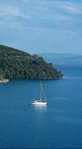 a boat sitting in the middle of a large body of water at Delfini Hotel in Menídion