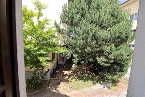 Zahrada ubytování Guesthouse Veles