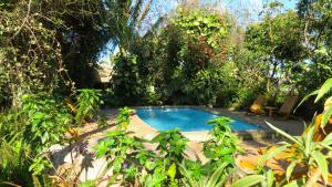 A piscina em ou perto de Hotel Manavai