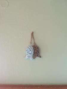 Fotografie z fotogalerie ubytování Apartments Sandra v destinaci Lopar