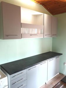 Kuchyň nebo kuchyňský kout v ubytování Apartments Sandra