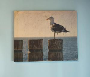 Fotografie z fotogalerie ubytování Apartments Sandra v destinaci Lopar