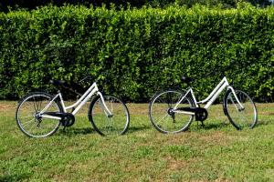 deux vélos garés dans l'herbe à côté d'une haie dans l'établissement Casa delle rose, à Verbania