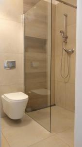 a bathroom with a toilet and a glass shower at Toruńska Grota 2 in Toruń