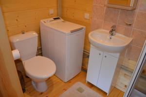 a bathroom with a toilet and a sink at Ignalina Lux Villa in Ignalina +18 photos