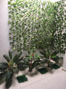 a wall covered in green plants with palm trees at Hotel Atardecer Guajiro in Ríohacha