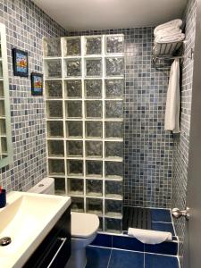 La salle de bains est pourvue d'une douche, de toilettes et d'un lavabo. dans l'établissement Apartamento La Barrosa, à Chiclana de la Frontera