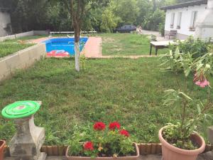 Zahrada ubytování Piknik Apartmant
