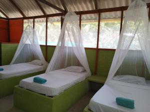 a room with three beds with mosquito nets at Eco Hotel Las Palmeras in Isla Grande