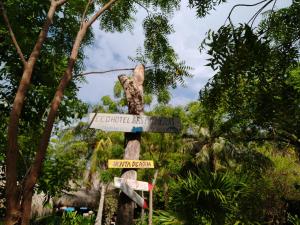 Fotografie z fotogalerie ubytování Eco Hotel Las Palmeras v destinaci Isla Grande