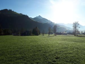a field of green grass with mountains in the background at Gästehaus Koch in Zöblen