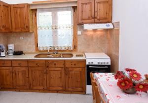 Kuchyň nebo kuchyňský kout v ubytování Johnie's Villa