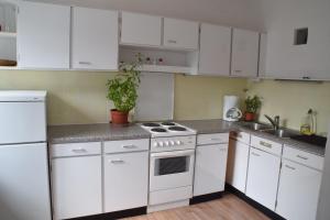Kuchyňa alebo kuchynka v ubytovaní Vintage-Ferienwohnung für 2