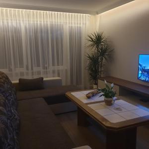 a living room with a couch and a coffee table at Apartamenti Danna in Lēdmane