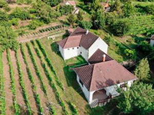 an aerial view of a house in a field at Hillside Vendégház a Szent György-hegyen in Raposka