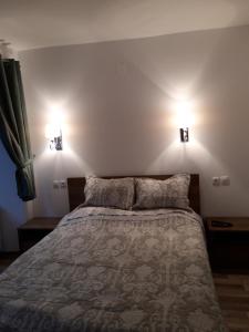 a bedroom with a bed and two lights on the wall at Sara House in Bistriţa