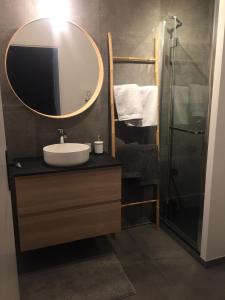 ein Bad mit einem Waschbecken, einem Spiegel und einer Dusche in der Unterkunft Studio neuf , à 2 pas de la plage et du port in Le Pouliguen