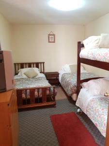 Pokój z 2 łóżkami piętrowymi i czerwonym dywanem w obiekcie Hospedaje klickmann w mieście Temuco