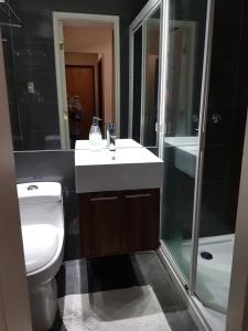 W łazience znajduje się umywalka, toaleta i prysznic. w obiekcie Hospedaje klickmann w mieście Temuco