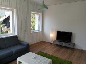 Una sala de estar con un sofá y un televisor de pantalla plana. en Apartma EVA&MATIC, en Kranjska Gora