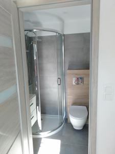 a bathroom with a shower and a toilet at Apartament LAWENDOWY in Sopot