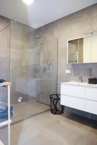 bagno con doccia, lavandino e specchio di high class flat a Lussemburgo