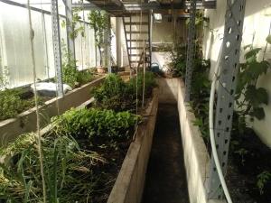 Сад в The Little Flock Farm