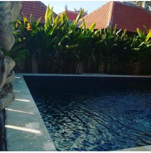 Gallery image of D'pagi Guest House in Nusa Lembongan
