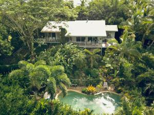 Κήπος έξω από το Mission Beach Escape BnB