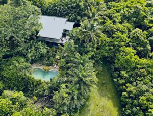 an aerial view of a house in the forest at Mission Beach Escape BnB in South Mission Beach