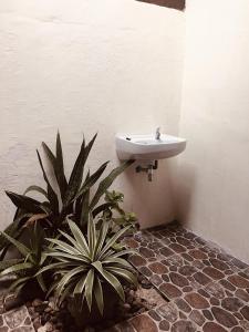 een badkamer met een wastafel en een aantal planten bij Pantai Paris Homestay in Maumere