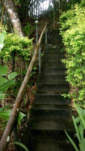 a set of stairs in a garden with plants at Villa Serena in Santo Domingo