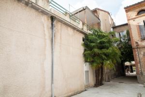 a palm tree next to a building with a pole at ALBIAPPPART CENTRE in Albi