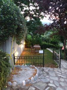 A garden outside Isabel Artemis