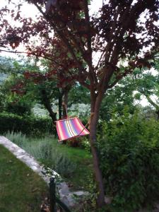 A garden outside Isabel Artemis