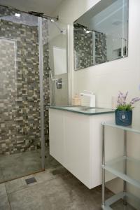 a bathroom with a shower and a sink and a mirror at נוף לים האדום - sea view eilat in Eilat