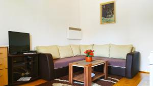 sala de estar con sofá y TV en Apartmani Lakicevic en Žabljak