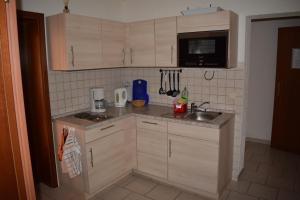 eine kleine Küche mit einer Spüle und einer Mikrowelle in der Unterkunft Ferienwohnung Waldmühle in Saupsdorf