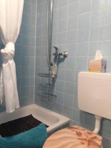 un bagno con doccia, wc e lavandino di Rathausschenke Münstermaifeld a Münstermaifeld Altre 15 foto