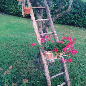Eine Leiter mit einem Blumentopf neben einem Baum in der Unterkunft Villa Margherita in Montaquila